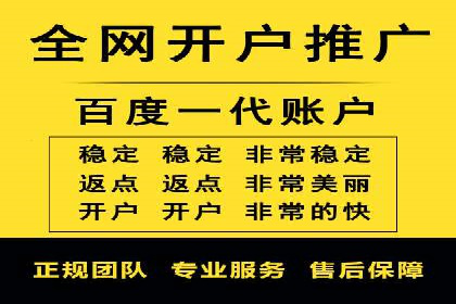 百度推广案例：精准广告投放策略解析